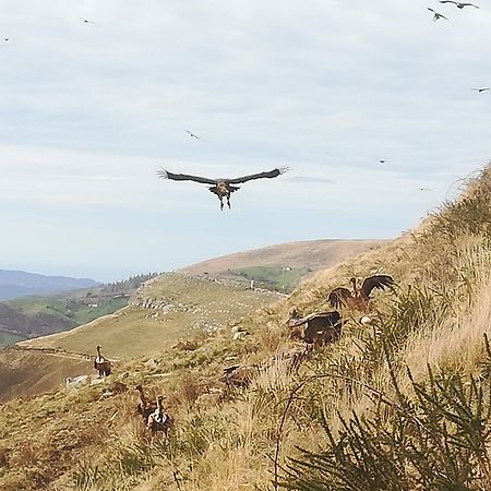 La Pasiega San Roque de Ríomiera Buitenkant foto