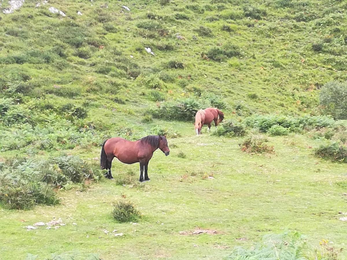 La Pasiega San Roque de Ríomiera Buitenkant foto